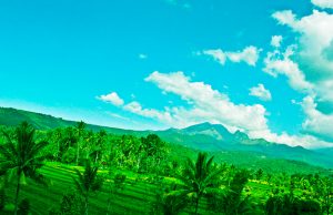 Air Terjun Singokromo dan Gunung Wilis Info Budaya gunung wilis