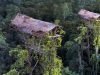 Info-budaya-suku-korowai-di-papua