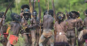 Info-budaya-suku-korowai-di-papua