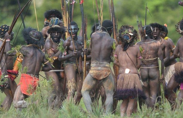 Info-budaya-suku-korowai-di-papua