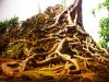 Info budaya wisata candi Lor