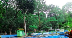Sumber Air Umbul Argomulyo, Ngluyu