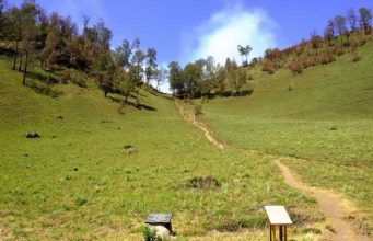 wisaya-alam-tanjakan cinta gunung-semeru
