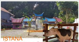 Info Budaya Istana Saleko