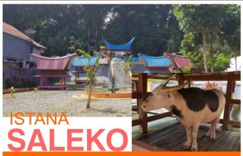 Info Budaya Istana Saleko