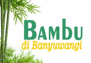 Info budaya Kebudayaan dan bambu di banyuwangi
