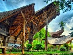 Rumah adat suku mamasa (Image torajaparadise com)