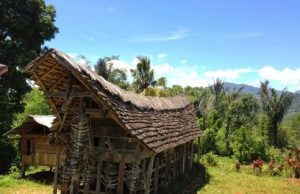 Tongkonan di Papa Batu, desa Desa Banga - Bittuang. Menurut keterangan Tongkonan yang berumur lebih dari 700 tahun ini sudah dihuni lebih dari sepuluh generasi. (Image BongaToraja com)
