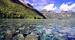 wisata alam info budaya Seperti cermin gaes Jernih banget di Ambon saleman (Image : Maringetrip)