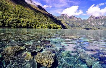 wisata alam info budaya Seperti cermin gaes Jernih banget di Ambon saleman (Image : Maringetrip)